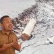 Kabupaten Manggarai Timur