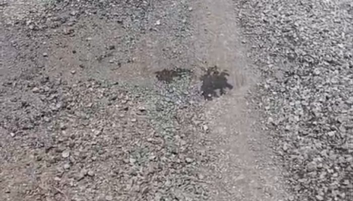 Proyek Jalan Lapen di Elar Selatan Rusak Lagi Setelah Diperbaiki, Kontraktor: Itu karena Ulah Masyarakat