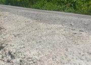 Borong Manggarai Timur