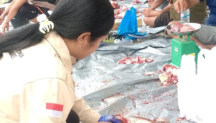 Polres Manggarai Timur Pastikan Hewan Kurban Layak Konsumsi Sebelum Didistribusikan ke Warga