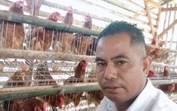 Desa Rana Kolong