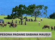 Destinasi Wisata