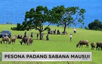 Destinasi Wisata