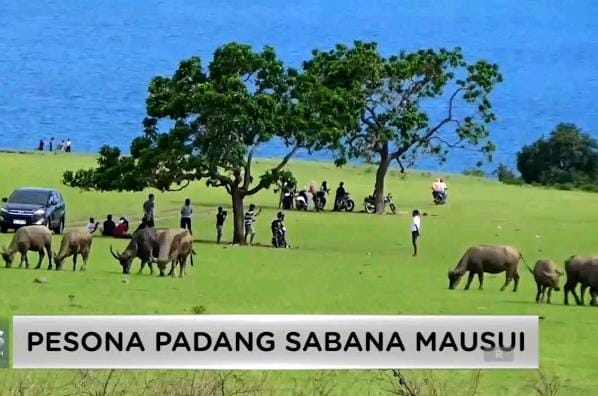 Destinasi Wisata