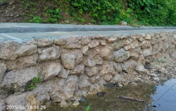 Manggarai Timur