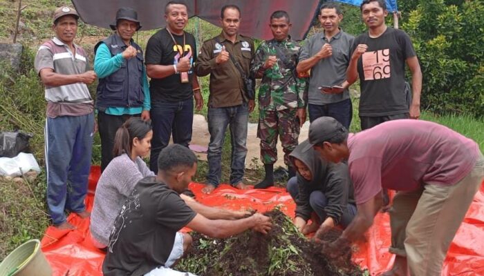 Kolaborasi BUMDes dan K-link Indonesia Kembangkan Pupuk Organik Ramah Lingkungan di Manggarai Timur