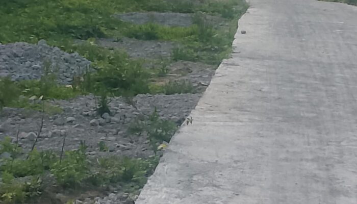 Diduga Ada Penyimpangan, Pekerjaan Rabat Beton di Desa Mbengan Tak Sesuai RAB